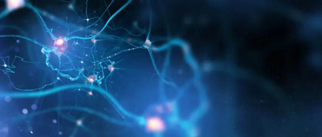 What are Nerve Injuries?