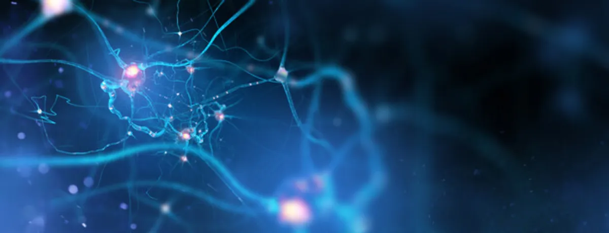 What are Nerve Injuries?