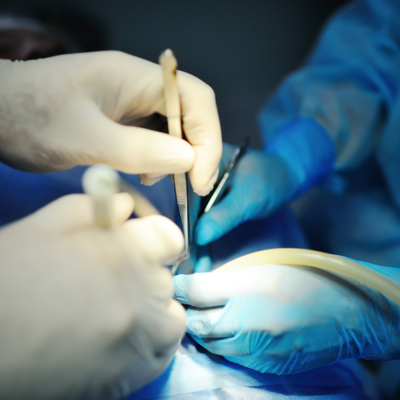 Plastic_and_Trauma