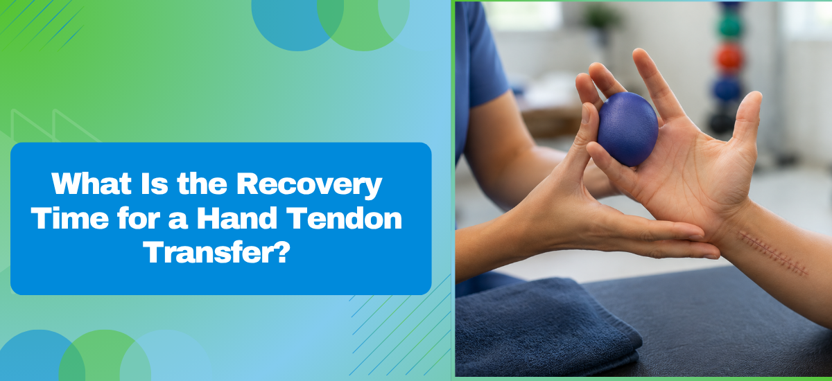 What Is the Recovery Time for a Hand Tendon Transfer